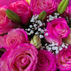 Meet your Posher, Linda